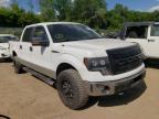 FORD - F-150