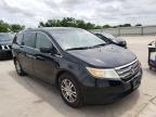 HONDA - ODYSSEY