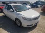 KIA - FORTE