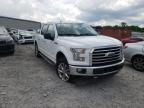 FORD - F-150