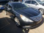 HYUNDAI - SONATA