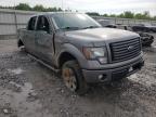 FORD - F-150