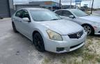 NISSAN - MAXIMA