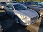NISSAN - MAXIMA