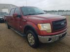 FORD - F-150