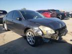 NISSAN - MAXIMA