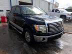FORD - F-150