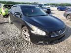 NISSAN - MAXIMA