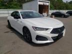 ACURA - TLX