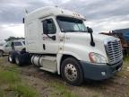 FREIGHTLINER - CASCADIA 1