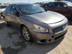 NISSAN - MAXIMA