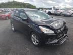 FORD - ESCAPE