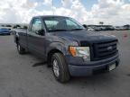 FORD - F150