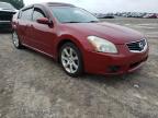 NISSAN - MAXIMA