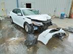 KIA - OPTIMA