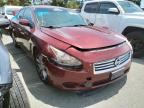 NISSAN - MAXIMA
