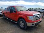 FORD - F-150