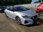 NISSAN - MAXIMA