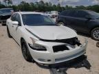 NISSAN - MAXIMA
