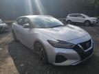 NISSAN - MAXIMA