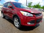 FORD - ESCAPE