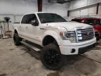 FORD - F-150