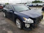 NISSAN - MAXIMA