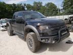 FORD - F-150