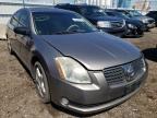 NISSAN - MAXIMA