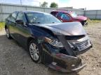 LEXUS - ES350