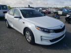 KIA - OPTIMA