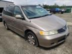 HONDA - ODYSSEY