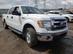 FORD - F-150