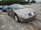 NISSAN - MAXIMA
