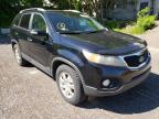 KIA - SORENTO