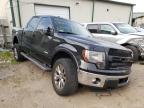 FORD - F150