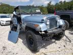 JEEP - CJ