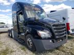 FREIGHTLINER - CASCADIA 1