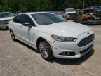 FORD - FUSION