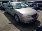 NISSAN - MAXIMA