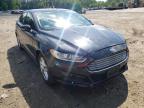 FORD - FUSION