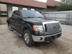 FORD - F-150