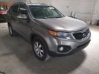 KIA - SORENTO