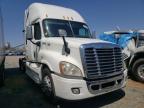 FREIGHTLINER - CASCADIA 1