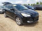 FORD - ESCAPE