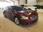 NISSAN - MAXIMA