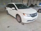 HONDA - ODYSSEY