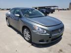 NISSAN - MAXIMA