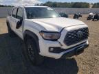 TOYOTA - TACOMA