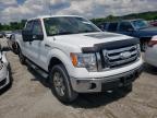 FORD - F-150